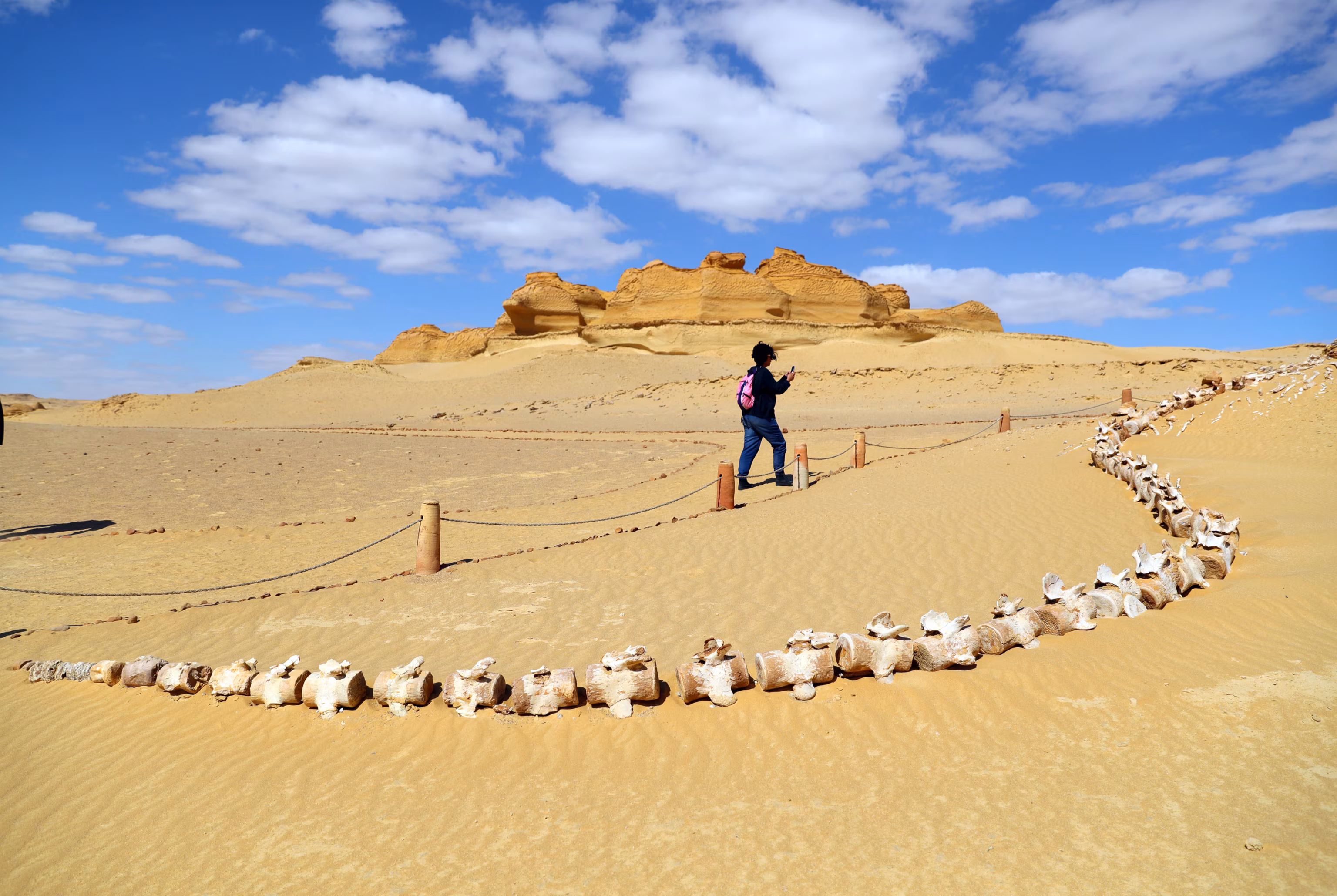El Fayoum tour to wadi El Rayan and wadi El Hitan
