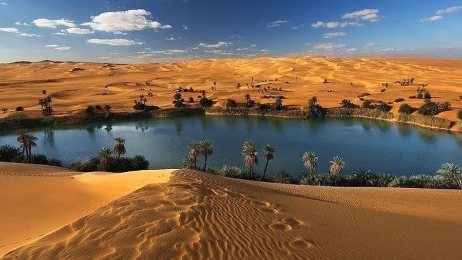 Viaje de campamento de 2 días a Wadi El Hitan y el oasis de Fayoum desde El Cairo