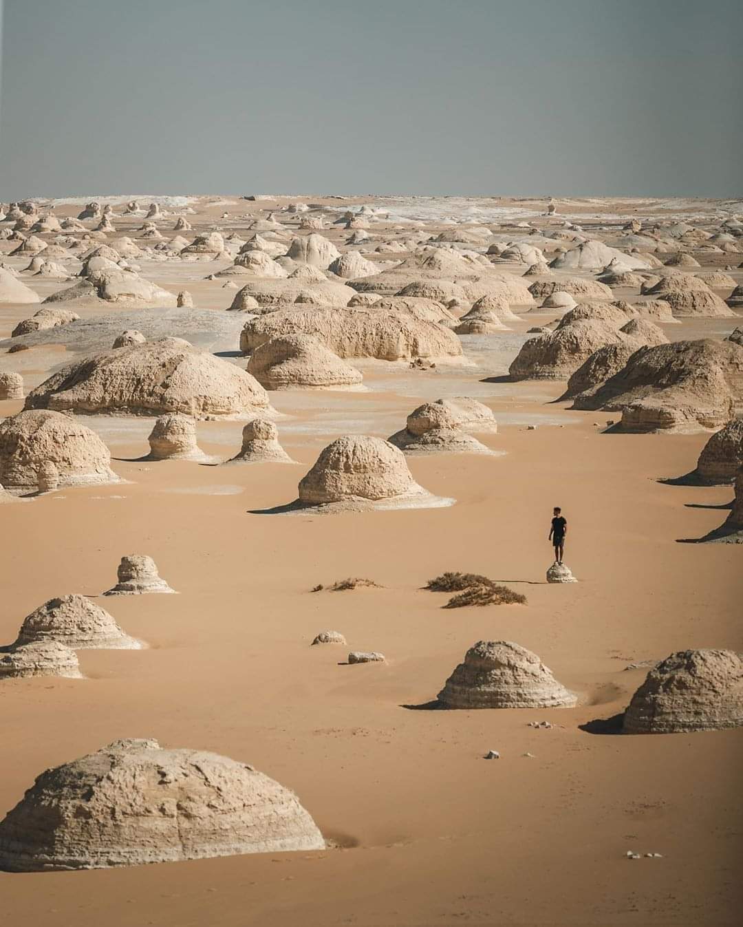 2-day overnight tour to white desert and Bahariya Oasis